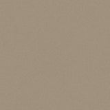 PICCHE TAUPE THICKNESS 9MM - NEXION -  (  - PICCHE - 1198x1198x9 mm - 48inchX48inchX0.36inch )