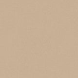 PICCHE NUDE THICKNESS 9MM - NEXION -  (  - PICCHE - 1198x1198x9 mm - 48inchX48inchX0.36inch )