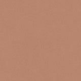 PICCHE COTTO THICKNESS 9MM - NEXION -  (  - PICCHE - 1198x1198x9 mm - 48inchX48inchX0.36inch )
