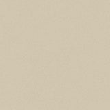 PICCHE CALCE THICKNESS 9MM - NEXION -  (  - PICCHE - 1198x1198x9 mm - 48inchX48inchX0.36inch )