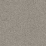 DESERT VERDE MATT - SIMPOLO-TILES- (  - DESERT MATT - 600x600 mm - 24inchX24inch )