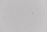 VEINTE WHITE - MIRAAK SURFACES -  (  - ELOQUENCE SERIES - 3450x1950x20 mm - 138inchX78inchX0.75inch )